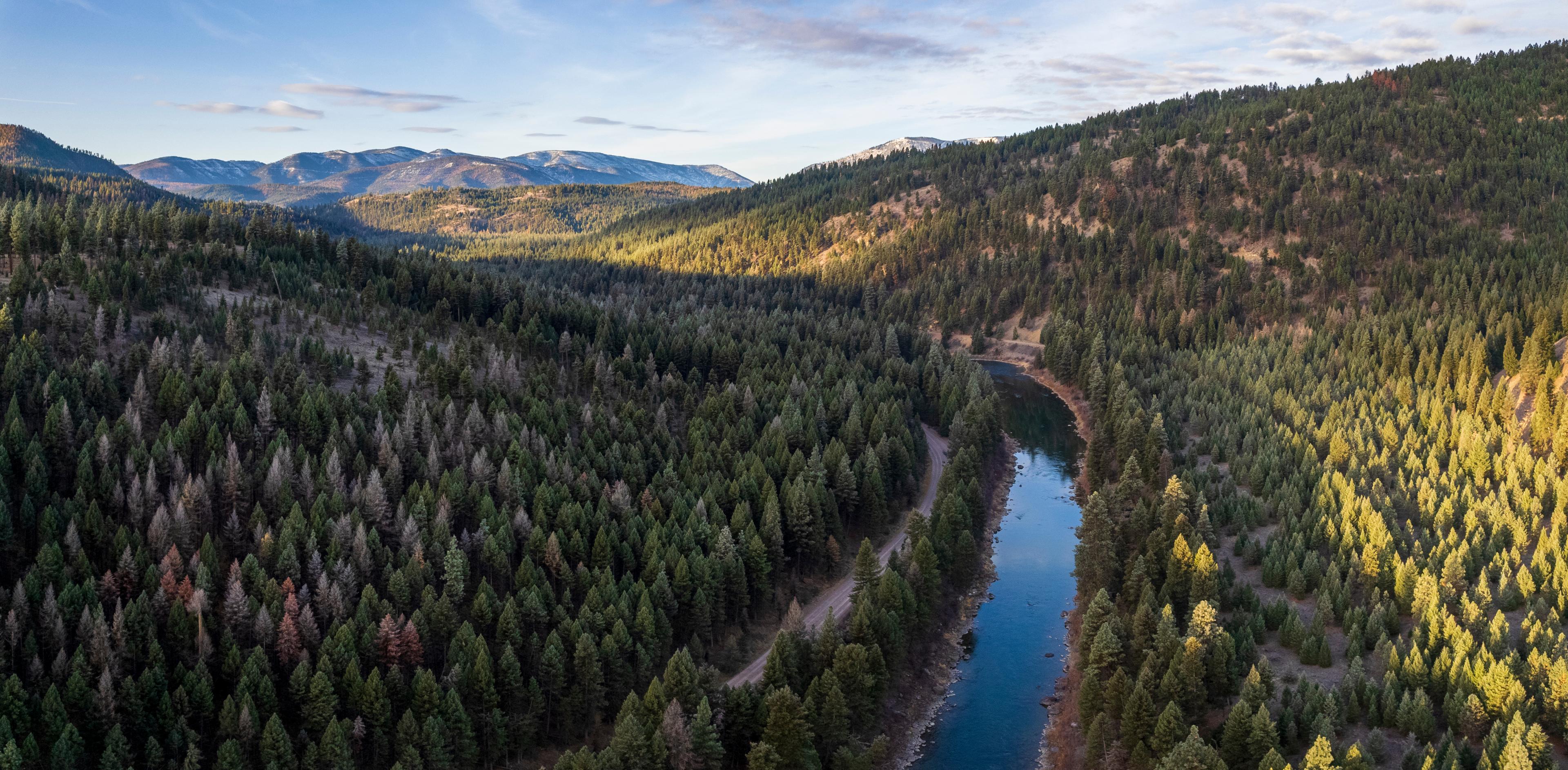 The Blackfoot River winding through a forested Montana valley