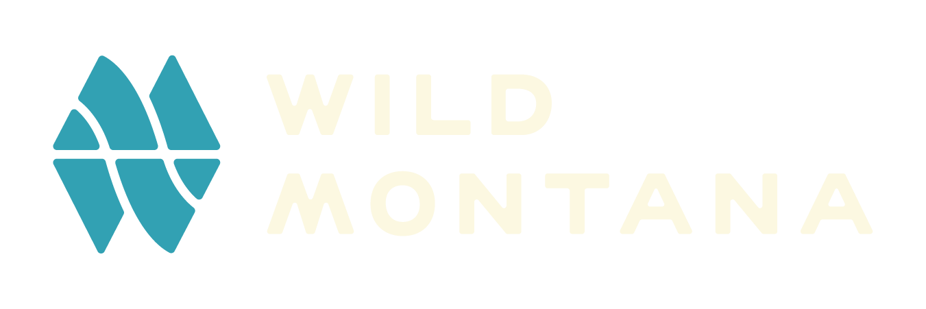 Wild Montana