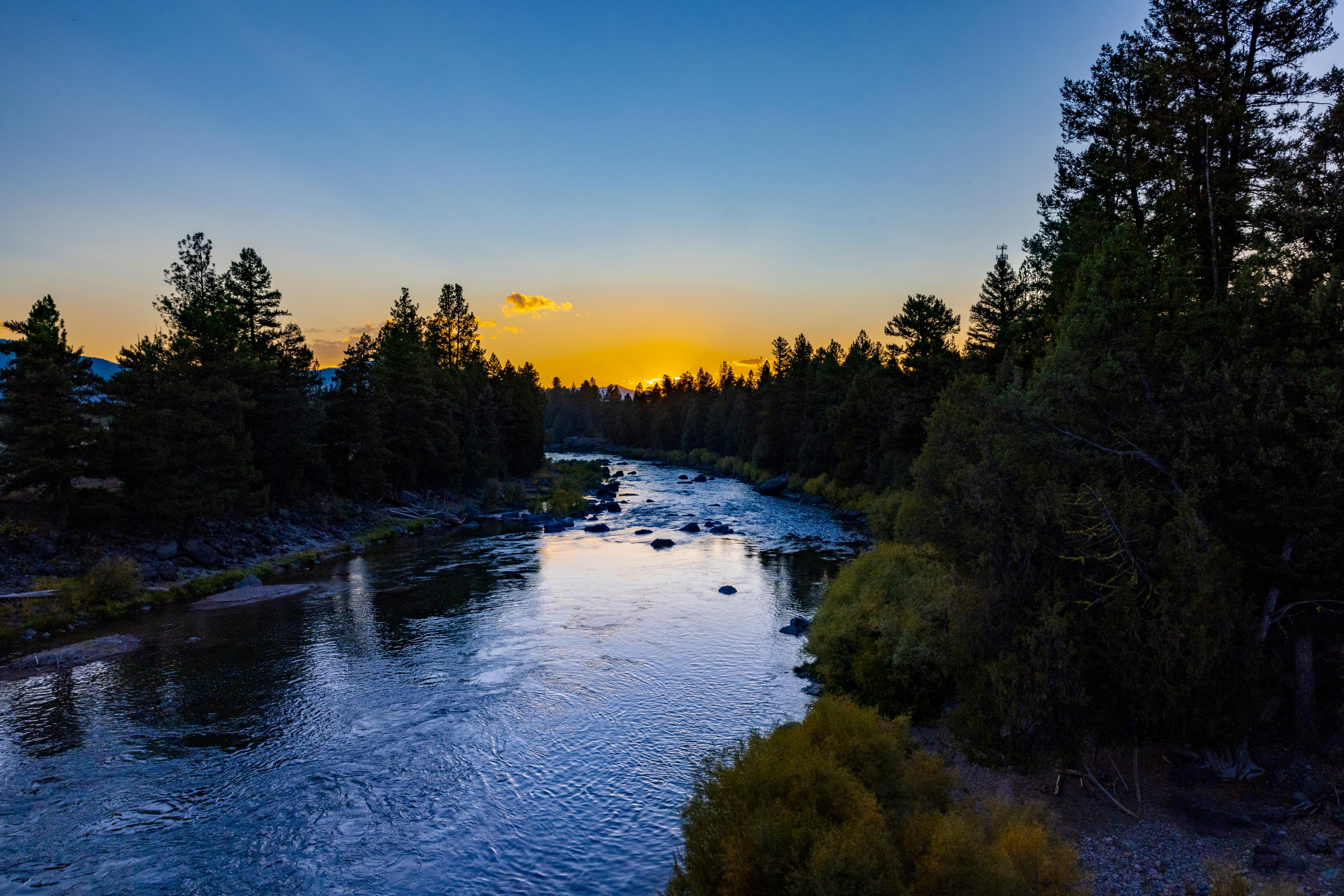 The Blackfoot River flowing through pine forest at sunset
