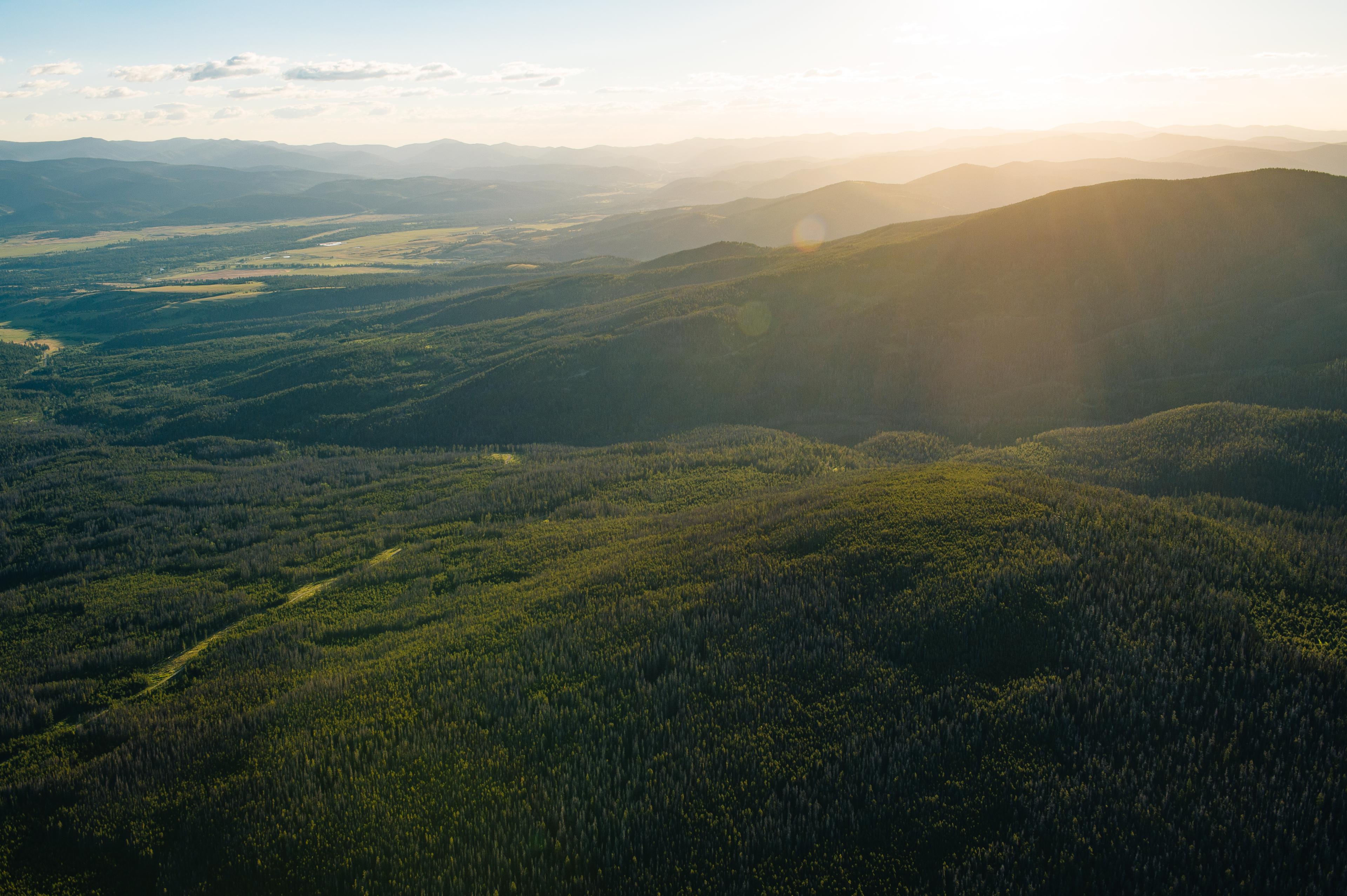 Sunlight falling across the forested mountains of the Blackfoot River Valley